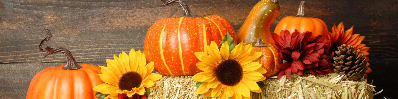 Herbstdekoration mit Sonnenblumen, Mutterblumen-Kürbissen und Kürbissen: darauf vier unterschiedlich große, orange Kürbisse, rechts brauner Tannenzapfen, orange und rote Blüte, mittig gelbe Sonnenblume, links neben Strohballen: großer, oranger Kürbis, kleiner gelber Kürbis, zwei gelbe Sonnenblumen, rote Blüte und brauner Tannenzapfen, vor Strohballen: drei kleine Kürbisse in rot und orange Tönen, dazwischen orange und rote Blüte, brauner Tannenzapfen, im Hintergrund dunkel Braune Holzwand